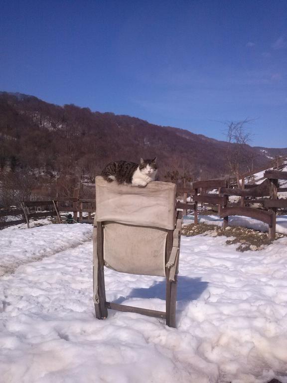 La Fattoria Di Morgana Villa Opi Exteriör bild
