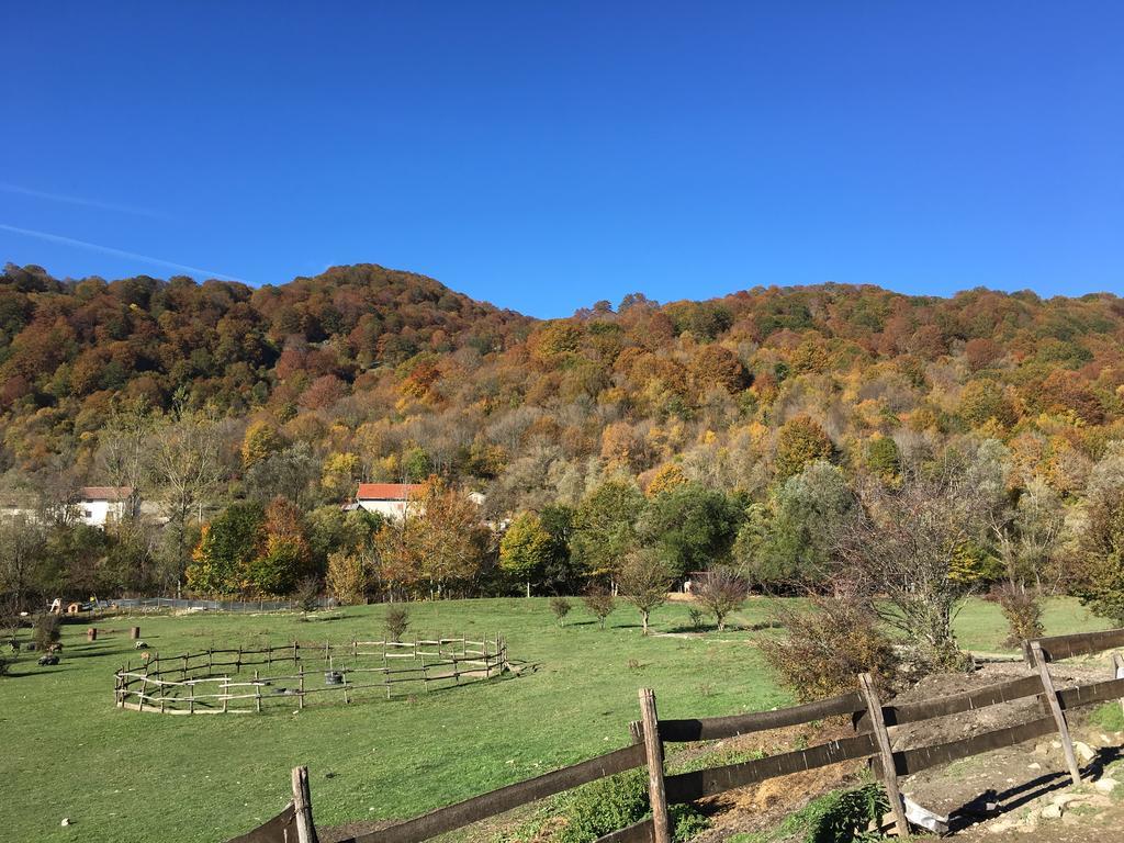 La Fattoria Di Morgana Villa Opi Exteriör bild