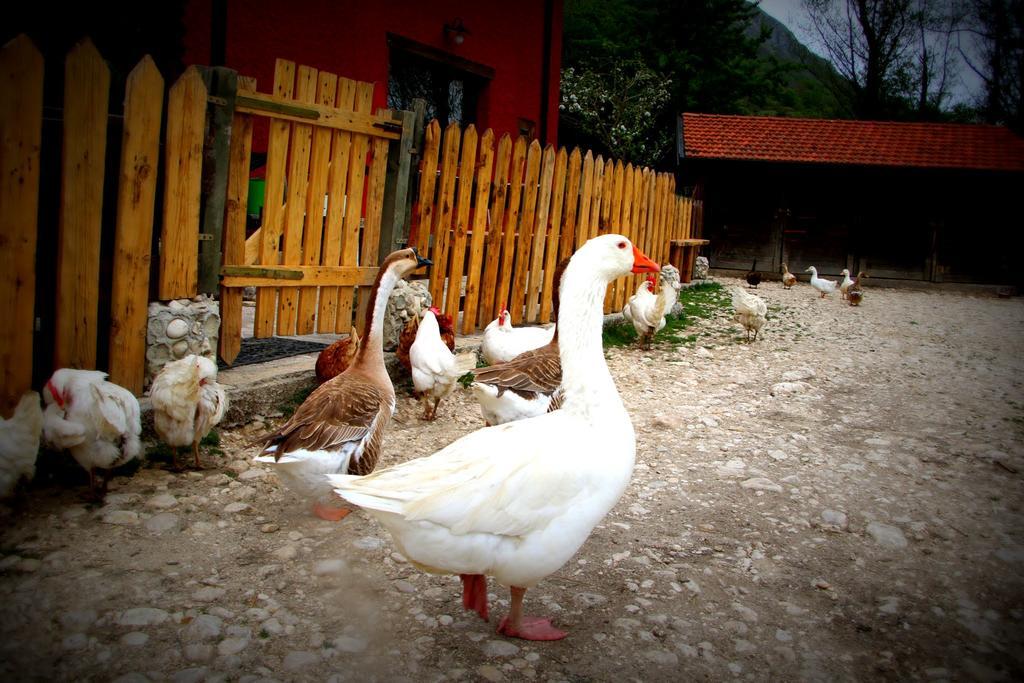 La Fattoria Di Morgana Villa Opi Exteriör bild